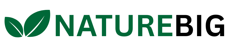 naturebig log | best hair serum